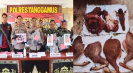 Kapolres Tanggamus AKBP Rahmad Sujatmiko saat memimpin konrensi pers penangkapan pemburu rusa sambar dan daging rusa yang telah dipotong saat diamankan petugas, Selasa 26 Mei 2026 | Herdi/Media Prioritastv.com.