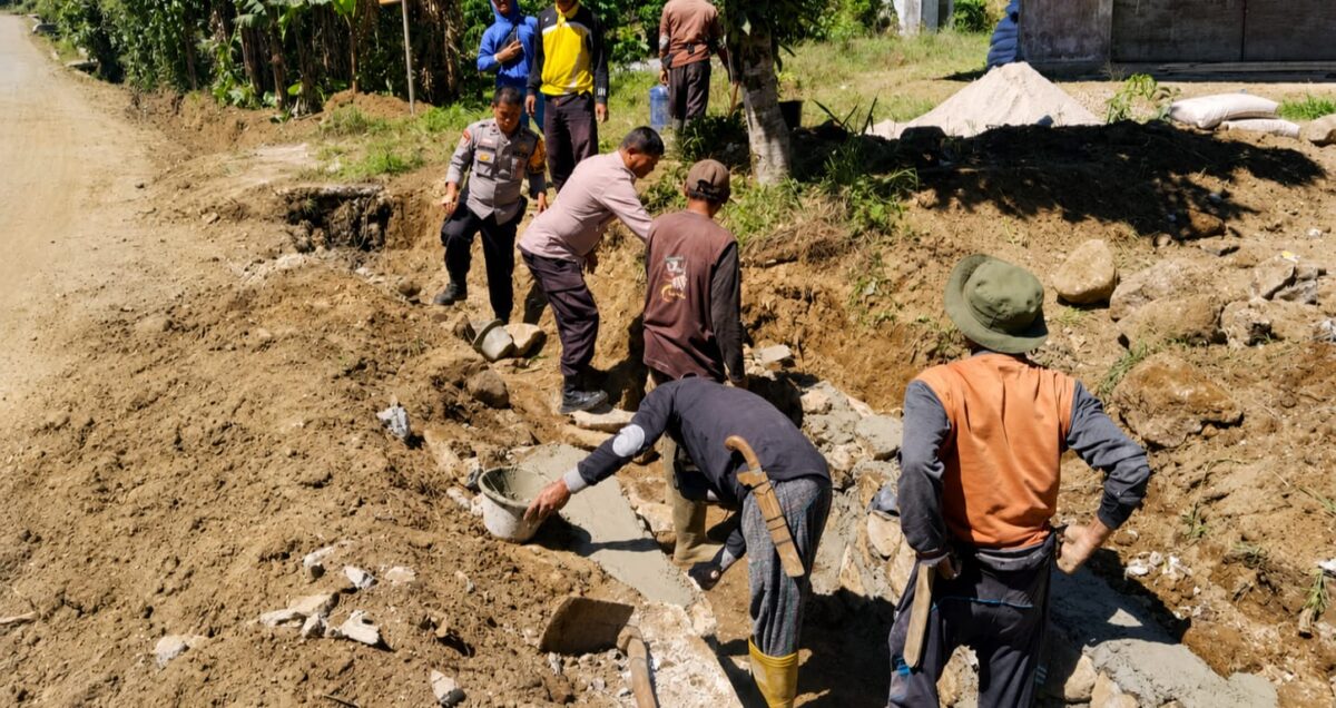 Kapolsek Pulau Panggung Iptu Suamin saat bersama warga Pekon Dataraian Ulu Belu melaksanakan gotong royong pembangunan gotong royong jalan tani, Minggu 31 Mei 2026 | Dok. Humas Polres Tanggamus.