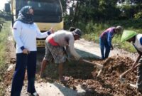 DPRD Pringsewu Mira Anita Perbaiki Jalan Berlubang Menuju Kantor Pekon (Foto: istimewa)