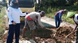 DPRD Pringsewu Mira Anita Perbaiki Jalan Berlubang Menuju Kantor Pekon (Foto: istimewa)