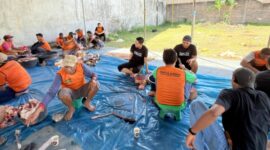 Penuh Kekompakan, Warga Bamsol Pringsewu Utara Laksanakan Qurban Bersama (Foto: istimewa)