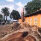 Pohon raksasa di Lapangan Merdeka Kota Agung yang ditebang dalam penyiapan ruang publik di lokasi setempat, Selasa 2 Juni 2026 | Herdi/Media Prioritastv.com.