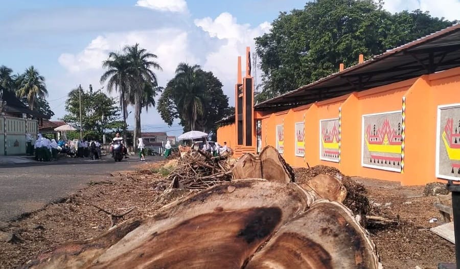 Pohon raksasa di Lapangan Merdeka Kota Agung yang ditebang dalam penyiapan ruang publik di lokasi setempat, Selasa 2 Juni 2026 | Herdi/Media Prioritastv.com.