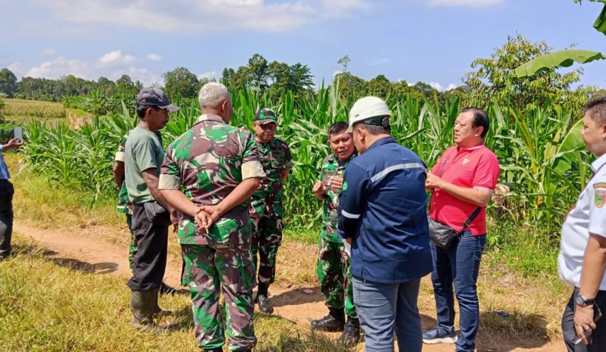 Dandim 0424 Tanggamus Letkol Inf Dwi Junaidi saat me dampingi Aslog Kasda. XII/RI Kolonel Arm Fajar Catur saat meninjau lokasi calon Markas Yonif TP 945 PPC Tanggamus di Pekon Tanjung Anom, Kota Agung Timur, Rabu 3 Juni 2026 | Dok. Kodim Tanggamus.