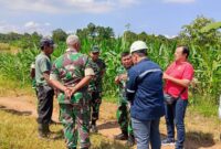 Pembangunan Markas Yonif 945/PPC Tanggamus Direncanakan di Kota Agung Timur