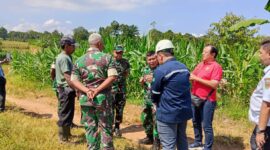 Dandim 0424 Tanggamus Letkol Inf Dwi Junaidi saat me dampingi Aslog Kasda. XII/RI Kolonel Arm Fajar Catur saat meninjau lokasi calon Markas Yonif TP 945 PPC Tanggamus di Pekon Tanjung Anom, Kota Agung Timur, Rabu 3 Juni 2026 | Dok. Kodim Tanggamus.