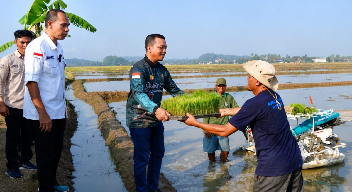 Bupati Pringsewu saat menyerahkan bibit pertanian modern di Pekon Pujodadi Pringsewu, Minggu 7 Juni 2026 | Samuel/Media Prioritastv.com.