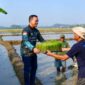 Bupati Pringsewu saat menyerahkan bibit pertanian modern di Pekon Pujodadi Pringsewu, Minggu 7 Juni 2026 | Samuel/Media Prioritastv.com.
