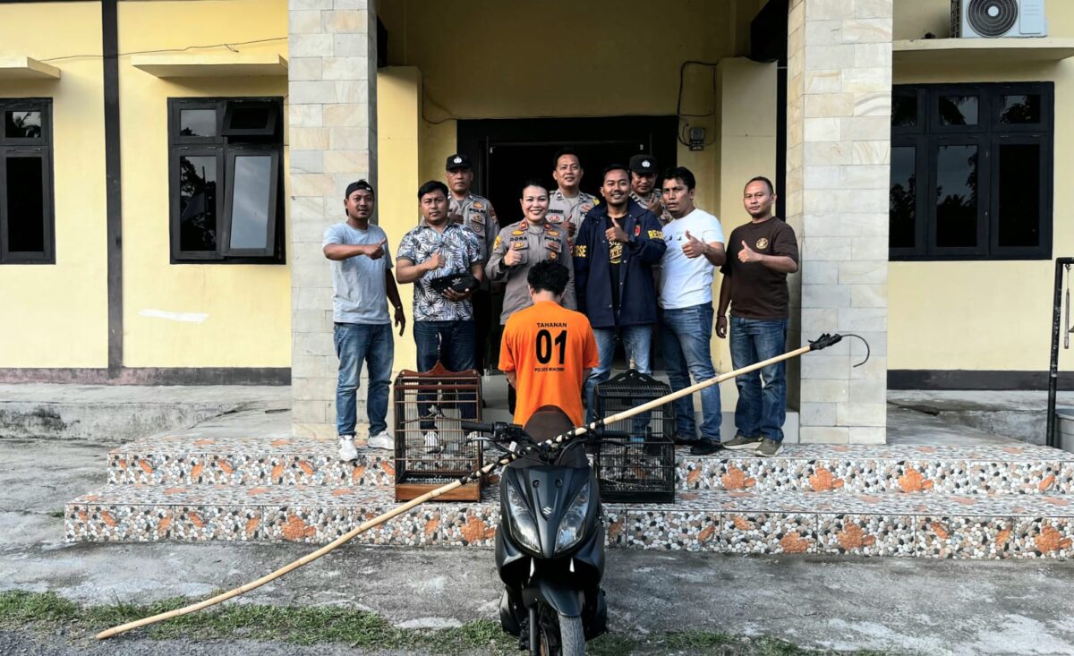 Oknum ASN inisial HN yang berhasil ditangkap Polsek Wonosobo atas dugaan pencurian burung, Senin 8 Juni 2026 | Dok. Humas Polres Tanggamus.
