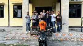 Oknum ASN inisial HN yang berhasil ditangkap Polsek Wonosobo atas dugaan pencurian burung, Senin 8 Juni 2026 | Dok. Humas Polres Tanggamus.