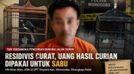 Ilustrasi penangkapan HN dalam perkara pencurian burung di Wonosobo Tanggamus yang ditangkap polisi, Senin 8 Juni 2026.