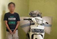 Sebulan Lalu Kabur Tinggalkan Motor dan Dua Karung Kopi, Satu Pencuri Kopi Ditangkap Polsek Pulau Panggung di Ulu Belu Tanggamus