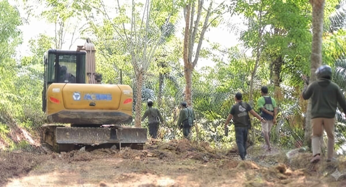 Tim Gakkum Kemenhut saat mengamankan dua tersangka berikut alat berat yang membuka jalan di TNBBS Lampung Barat tanpa izin |