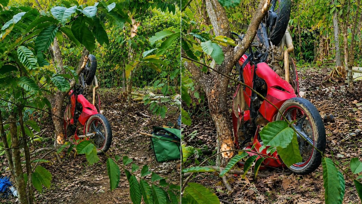 Kolase foto sepeda motor yang terjun bebas ke jurang di leter S Pekon Talang Jawa, Pulau Panggung, Tanggamus, Senin 24 Agustus 2026 | Dok. Facebook Lili Arianisa.