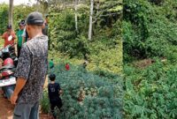 Kolase foto saat polisi bersama warga memeriksa motor korban dan menemukan jenazah korban di area pohon singkong di Desa Sri Agung, Kecamatan Sungkai Jaya, Kabupaten Lampung Utara Sabtu (22/8/2026) | Dok. Tangkapan Layar Video.