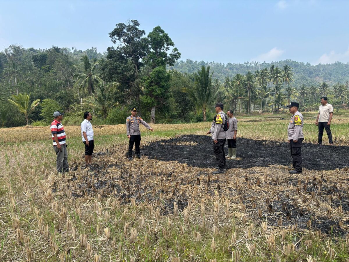 Polisi saat melakukan pemeriksaan lahan area hotspot di Kecamatan Pugung, Tanggamus, Jumat 28 Agustus 2026 | Dok. Humas Polres Tanggamus.