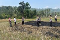 Polisi saat melakukan pemeriksaan lahan area hotspot di Kecamatan Pugung, Tanggamus, Jumat 28 Agustus 2026 | Dok. Humas Polres Tanggamus.