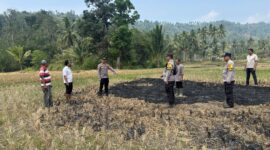 Polisi saat melakukan pemeriksaan lahan area hotspot di Kecamatan Pugung, Tanggamus, Jumat 28 Agustus 2026 | Dok. Humas Polres Tanggamus.
