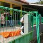 Polisi saat melakukan identifikasi pembunuhan di Masjid Masjid Al-Muhajirin Purwakarta, Kamis 6 Agustus 2026 | ist/Media Prioritastv.com.