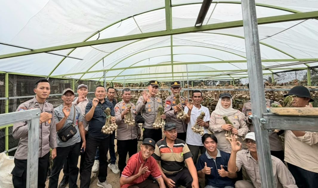 Foto bersama tim dari 4 Polres Polda Sumsel di gudang penyimpanan bawang putih di Ulu Belu, Tanggamus, Kamis 6 Agustus 2026 | Dok. Humas Polres Tanggamus.