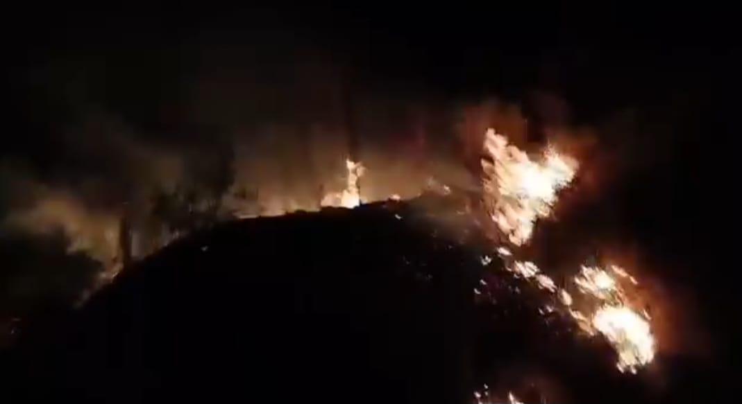 Kebakaran lahan yang disebut terjadi di Tanjakan Gayau, Bulok, Tanggamus, Sabtu 8 Agustus 2026, malam | Dok.Tangkapan Layar Video.