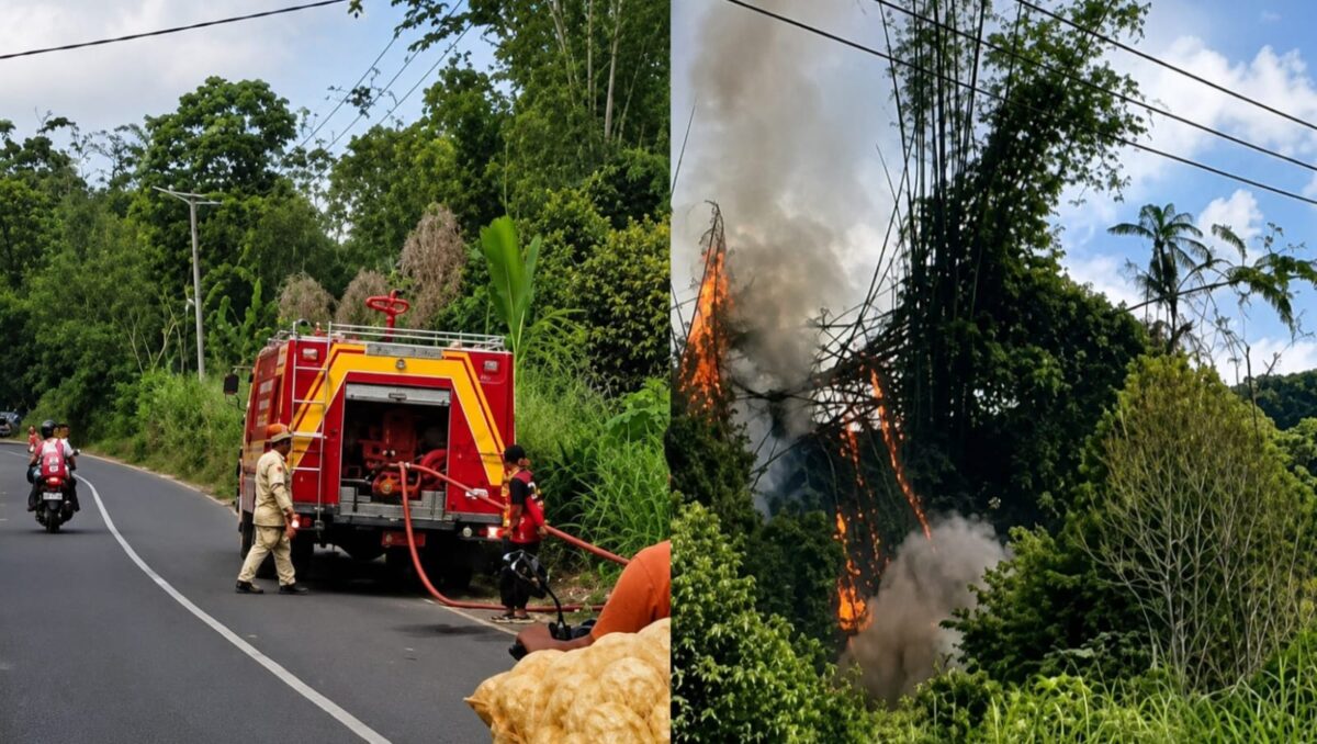 Kolase foto saat petugas Damkar Lampung Barat berusaha memadamkan api dan api yang membakar rumpun bambu di Pekon/Desa Padang Cahya, Balik Bukit, Lampung Barat, Minggu 9 Agustus 2026 | ist/Media Prioritastv.com.