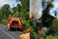 Kolase foto saat petugas Damkar Lampung Barat berusaha memadamkan api dan api yang membakar rumpun bambu di Pekon/Desa Padang Cahya, Balik Bukit, Lampung Barat, Minggu 9 Agustus 2026 | ist/Media Prioritastv.com.