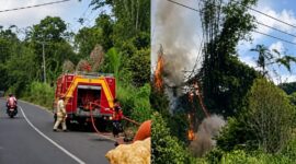 Kolase foto saat petugas Damkar Lampung Barat berusaha memadamkan api dan api yang membakar rumpun bambu di Pekon/Desa Padang Cahya, Balik Bukit, Lampung Barat, Minggu 9 Agustus 2026 | ist/Media Prioritastv.com.