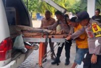Petugas saat mengevakuasi korban ke Puskesmas Wiralaga I, Kecamatan Mesuji, Lampung, Senin 10 Agustus 2026 | ist/Media Prioritastv.com.