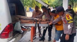 Petugas saat mengevakuasi korban ke Puskesmas Wiralaga I, Kecamatan Mesuji, Lampung, Senin 10 Agustus 2026 | ist/Media Prioritastv.com.