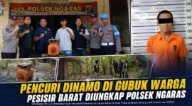 Kolase foto saat petugas Polsek Ngaras menunjukan barang bukti, pemeriksaan TKP dan tersangka yang sedang di tahan di Lapas Krui, Senin 10 Agustus 2026.