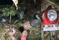 Kolase foto kedua korban tergeletak berdekatan di lokasi kebun kopi dibawah tebing tanjakan cuaca dan sepeda motor yang digunakan keduanya, Senin 10 Agustus 2026 | Dok. Tangkapan Layar Video.
