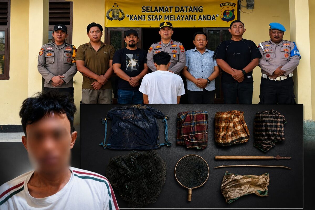 Kolase foto tersangka yang berhasil ditangkap dan barang bukti yang diamankan polisi, Rabu 12 Agustus 2026 | Dok. Humas Polres Tanggamus.