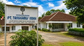 Plang lama PT Tanggamus Indah dan perkantoran di lokasi setempat | Dok. Arsip Direstorasi AI.
