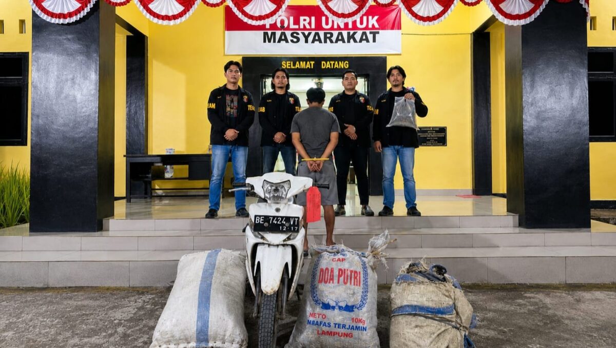 Tersangka SH yang berhasil ditangkap berikut barang bukti sepeda motor dan kopi curian sebelum dijebloskan ke sel tahanan, Jumat 14 Agustus 2026 | Dok. Humas Polres Tanggamus.