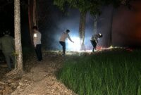 Polisi saat melakukan pemeriksaan dan pemadaman kebakaran lahan di Kabupaten Pringsewu | Dok. Humas Polres Pringsewu.