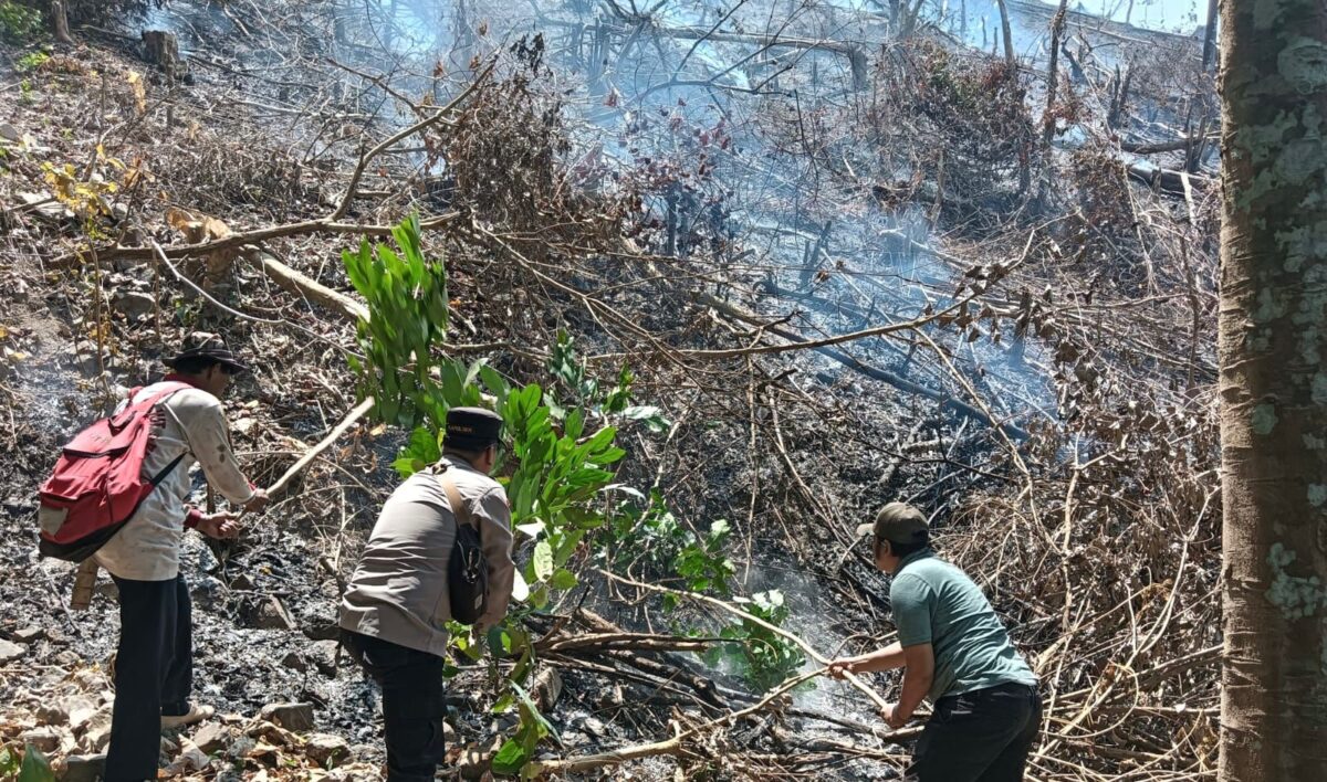 Pengecekan dan pemadaman Karhutla di Pekon Umbar, Kelumbayan, Tanggamus, Kamis 3 September 2026 | Dok. Humas Polres Tanggamus.