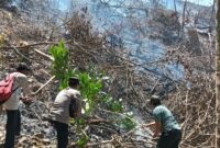 Pengecekan dan pemadaman Karhutla di Pekon Umbar, Kelumbayan, Tanggamus, Kamis 3 September 2026 | Dok. Humas Polres Tanggamus.