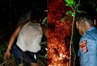 Kolase foto saat tim berjibaku melakukan pemadaman api di kawasan Bukit Kepar, Pekon Panjirejo, Kecamatan Gading Rejo, Kabupaten Pringsewu, Provinsi Lampung, Kamis 3 September 2026, malam | ist/Media Prioritastv.com.