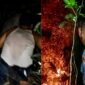 Kolase foto saat tim berjibaku melakukan pemadaman api di kawasan Bukit Kepar, Pekon Panjirejo, Kecamatan Gading Rejo, Kabupaten Pringsewu, Provinsi Lampung, Kamis 3 September 2026, malam | ist/Media Prioritastv.com.