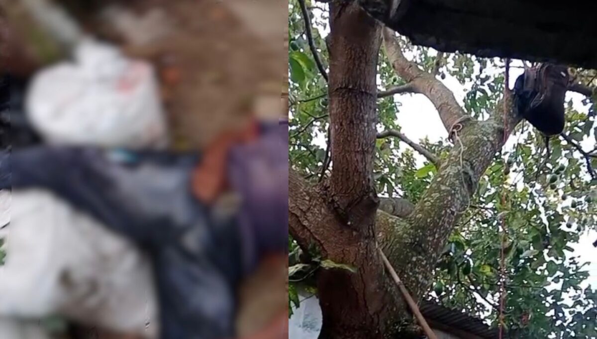 Kolase foto penampakan kondisi korban saat pertama kali ditemukan, Rabu 2 September 2026 dan terlihat tali dan tas penampung buah alpokat | ist/Media Prioritastv.com.