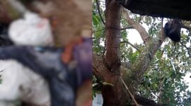 Kolase foto penampakan kondisi korban saat pertama kali ditemukan, Rabu 2 September 2026 dan terlihat tali dan tas penampung buah alpokat | ist/Media Prioritastv.com.