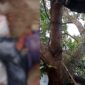Kolase foto penampakan kondisi korban saat pertama kali ditemukan, Rabu 2 September 2026 dan terlihat tali dan tas penampung buah alpokat | ist/Media Prioritastv.com.