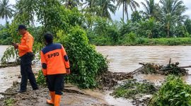 Petugas BPBD Tanggamus saat melakukan pemeriksaan luapan sungai Way Belu, Kota Agung Barat, Tanggamus, Selasa 22 September 2026.