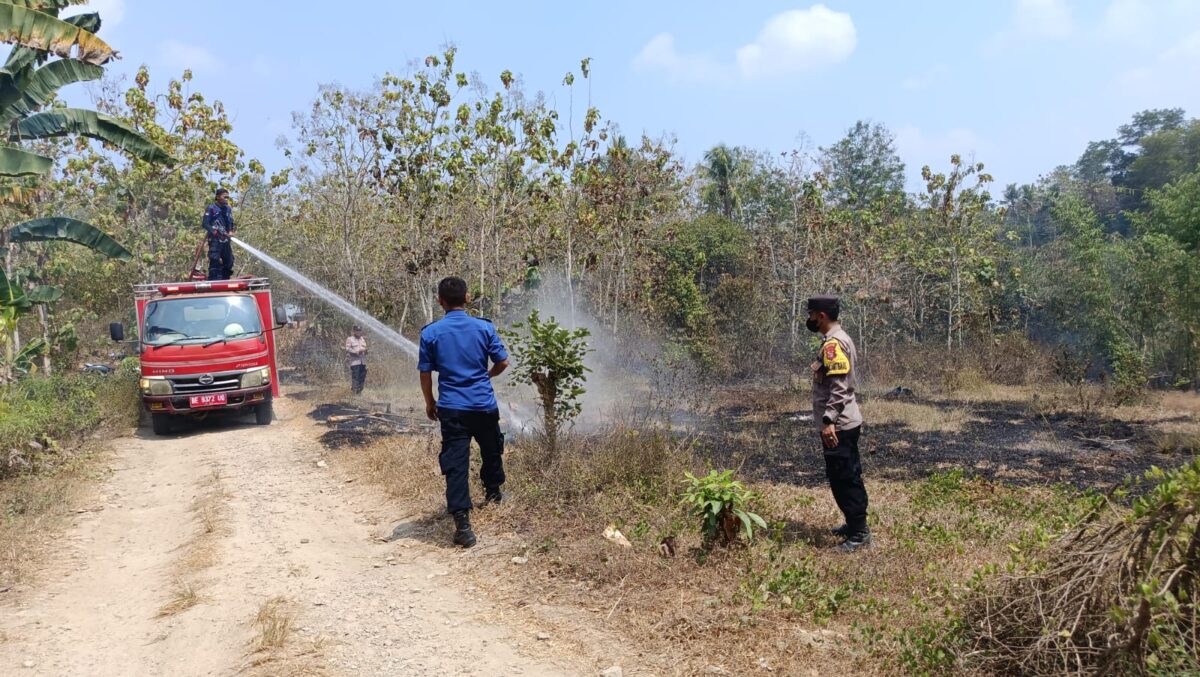 Proses pemadaman Karhutla di Ambarawa, Pringsewu, Rabu 2 September 2026 | Dok. Humas Polres Pringsewu.