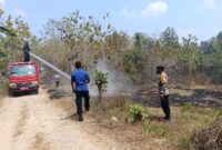 Proses pemadaman Karhutla di Ambarawa, Pringsewu, Rabu 2 September 2026 | Dok. Humas Polres Pringsewu.