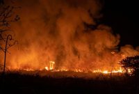Kebakaran lahan milik 3 warga di Pekon Muara Dua, Kecamatan Ulu Belu, Tanggamus, Minggu 6 September 2026 | ist/Media Prioritastv.com.