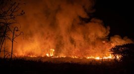 Kebakaran lahan milik 3 warga di Pekon Muara Dua, Kecamatan Ulu Belu, Tanggamus, Minggu 6 September 2026 | ist/Media Prioritastv.com.