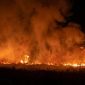 Kebakaran lahan milik 3 warga di Pekon Muara Dua, Kecamatan Ulu Belu, Tanggamus, Minggu 6 September 2026 | ist/Media Prioritastv.com.