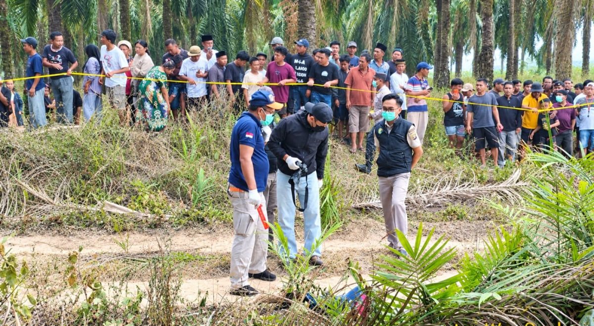 Polisi saat melakukan olah TKP ditemukannya wanita tewas di Mesuji Lampung, Senin 12 Oktober 2026.